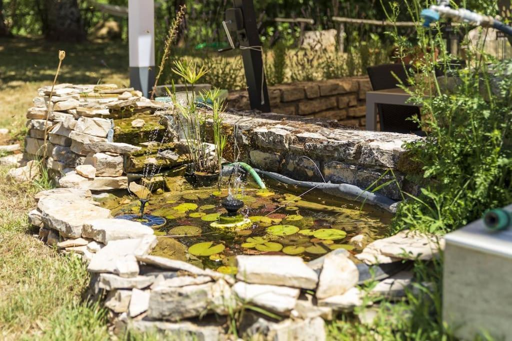 Luxury Villa Cetiri Hrasta Pićan 外观 照片