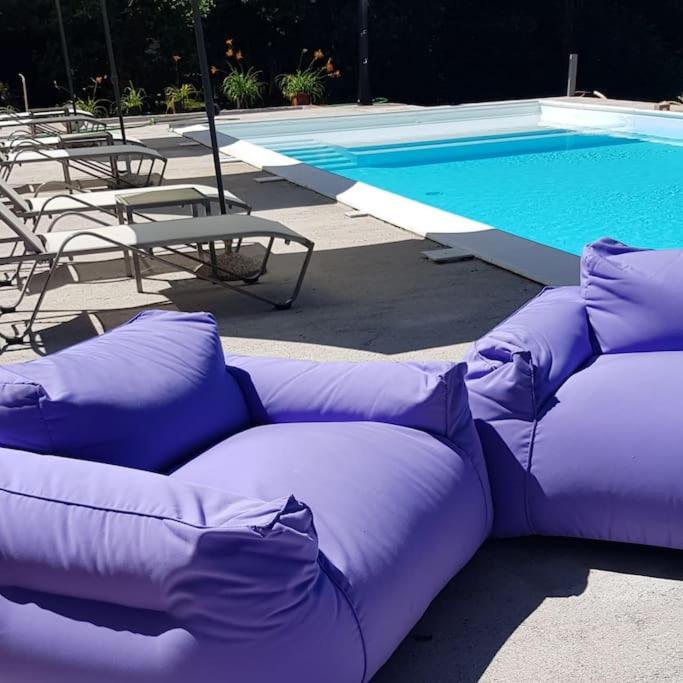 Luxury Villa Cetiri Hrasta Pićan 外观 照片