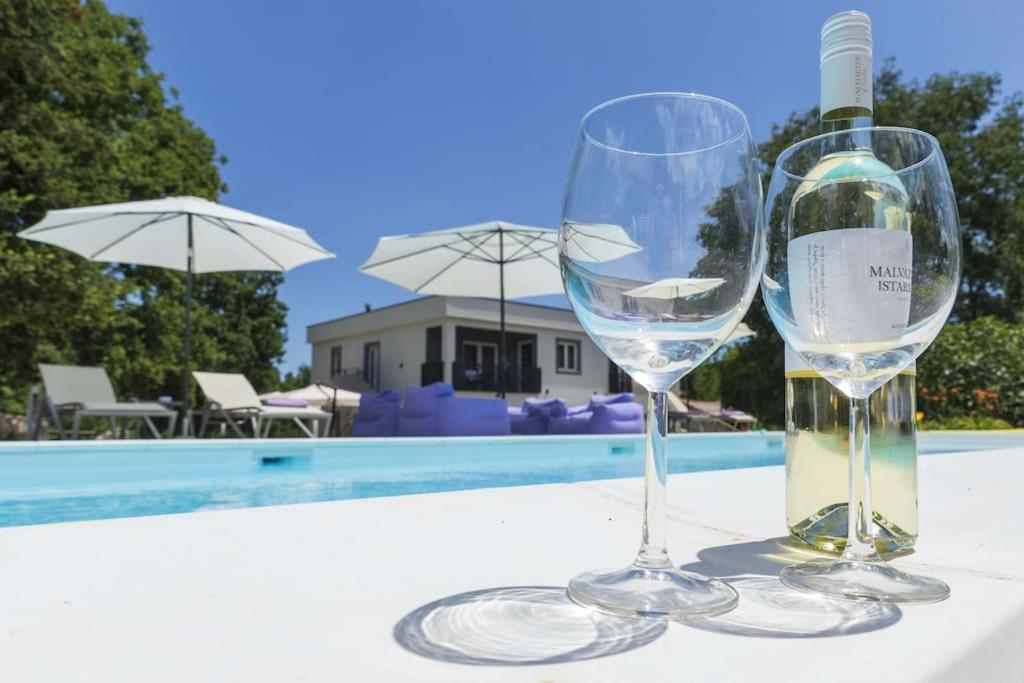 Luxury Villa Cetiri Hrasta Pićan 外观 照片