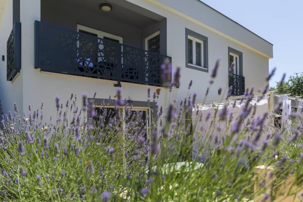 Luxury Villa Cetiri Hrasta Pićan 外观 照片